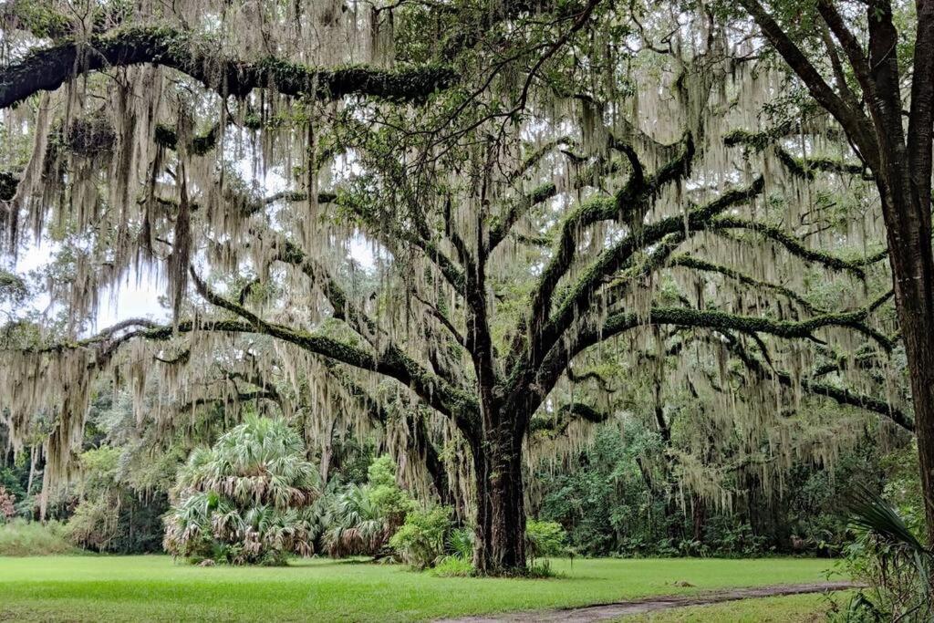 Вилла Jekyll Island House/ Kellys On The Coast /King Bed Экстерьер фото